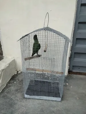 Bird / Parrot Cage