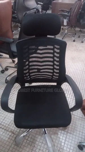 Victory Net Chair With Head Rest