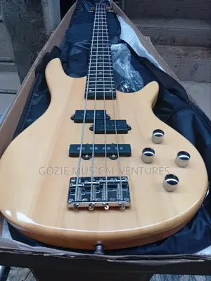 Pro Sound Electric Lead Guitar 4 Strings.