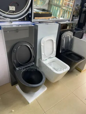 Exotic Concealed Toilet
