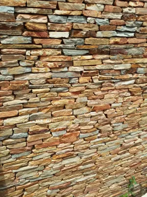 Nony Stone