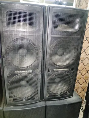 Quality Sp315 Full Range Speaker