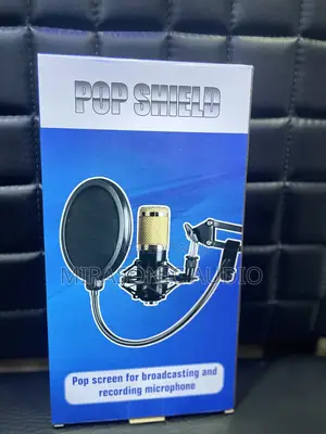 Pop Filter for Recording Microphone