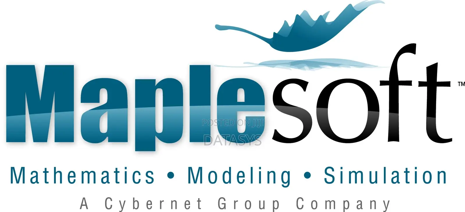 Maplesoft Maple – Trusted Software for Math, Graphs, and Calculations