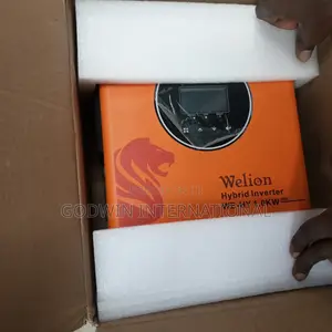 1kva 12v Welion Hybrid Inverter