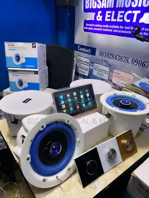 Bose Speaker Smart Wall Amplifier Volume Control