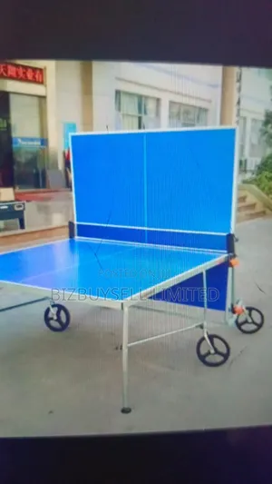 Executive Table Tennis Board, Indoor and Outdoor.