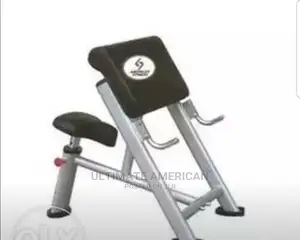 American Fitness Scott Bench