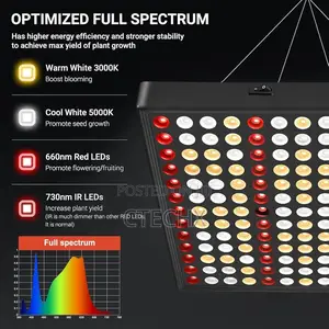 2000w Led Grow Lights Full Spectrum Grow Lamp For Indoor Plant