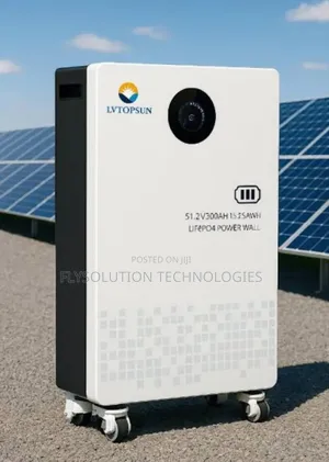 Lvtopsun 15kwh Lithium-Ion Battery 51.2v 300ah Lifepo4 Power Wall