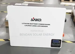  Sako 5kwh 24v Lithium-Ion Battery