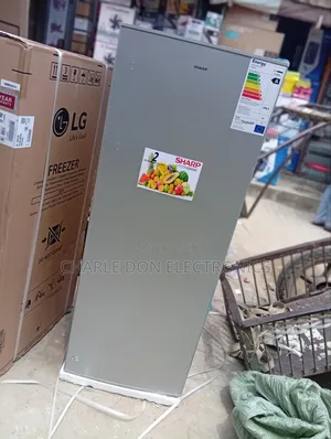 Original Upright Sharp Freezer