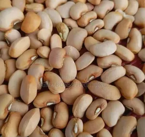 Honey Beans