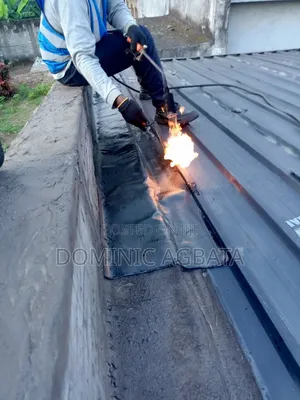 Intense Waterproofing Professional