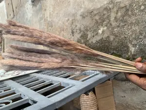 30pcs Imported Pampas Flower Decoration
