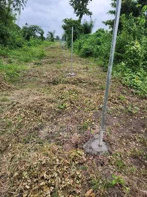 Fencing of Land With Chain Link for 100 Acers of Land at Ogun State