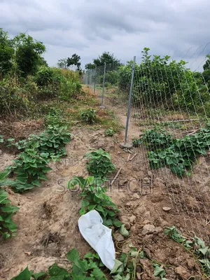 Dont Buy Land and Keep Without Fencing