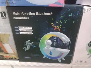 Multifunction Bluetooth Humidifier