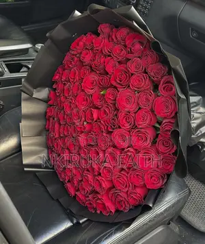 Fresh Roses