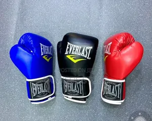Brand New Everlast Boxing Gloves