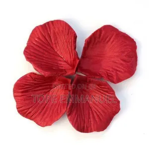 Rose Petals Flower Favors for Decoration- Red
.300pcs