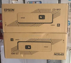 Epson Co-W01 Multimedia Projector
