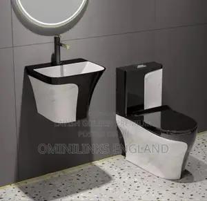 Black White Luxury Wc With Wall-Hung Basin