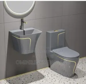 Gold on Grey Luxury Wc