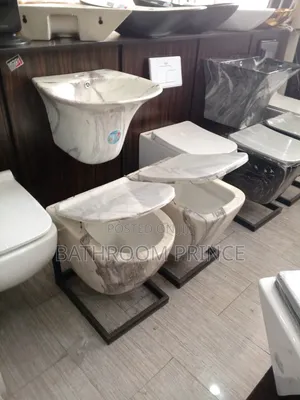 Luxury Conceal Water Closet With Wall Hung Basin