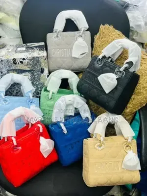 Lady Dior Handbags