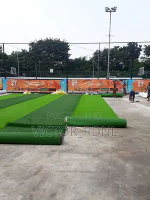 Best Outdoor/ Indoor Carpet Artificial Grass