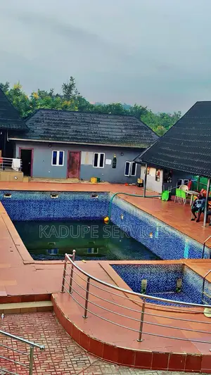 Pool Maintenance
