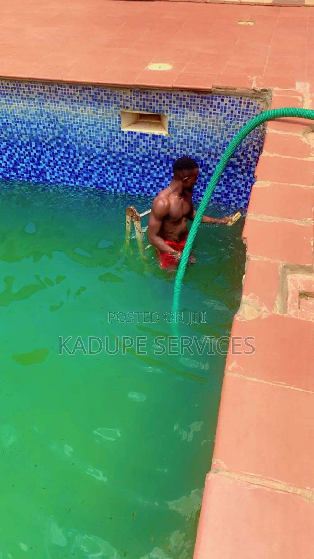 Pool Maintenance