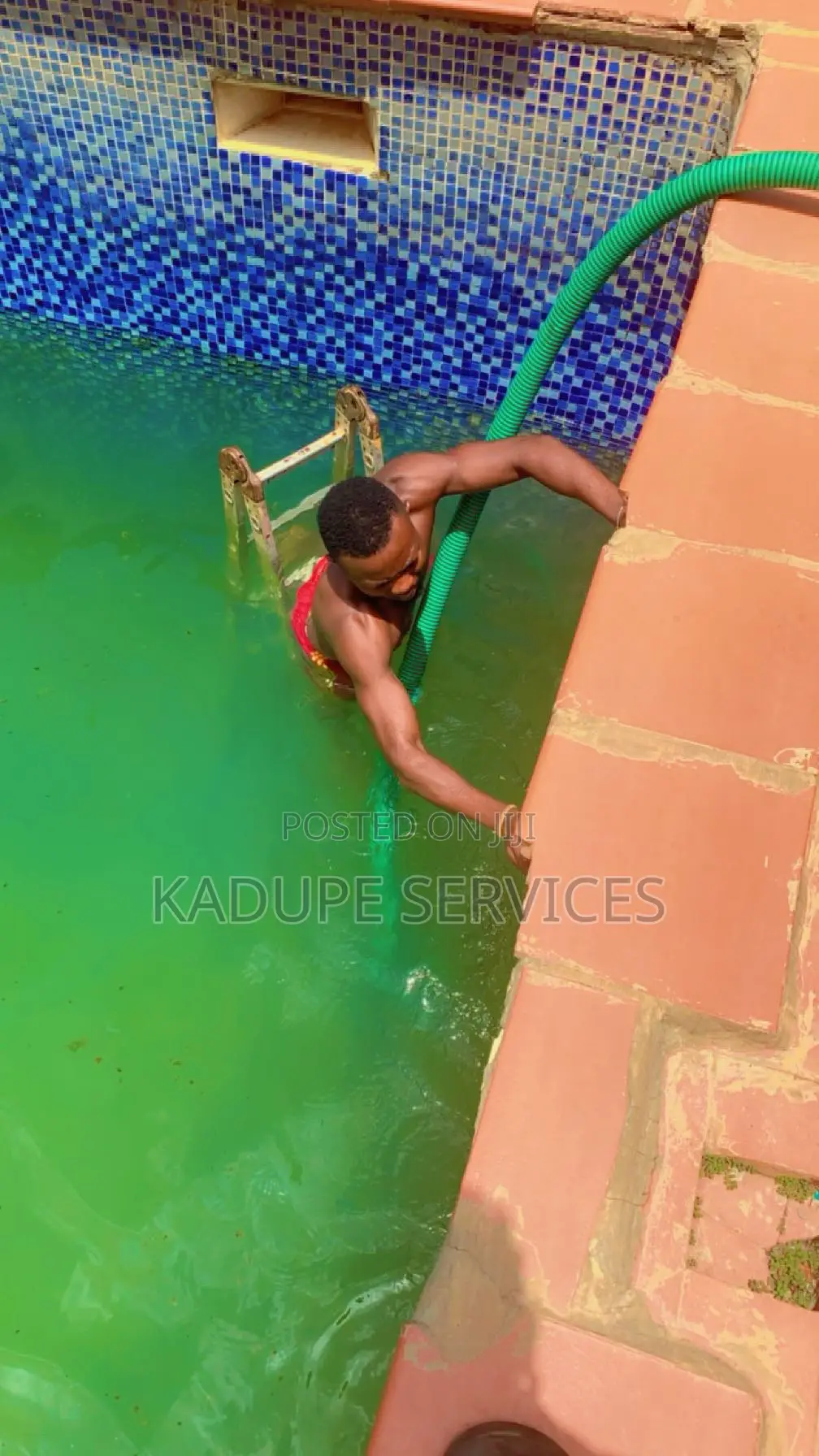 Pool Maintenance