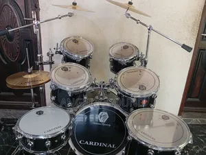 Cardinal Virgin Drum 7 Sets