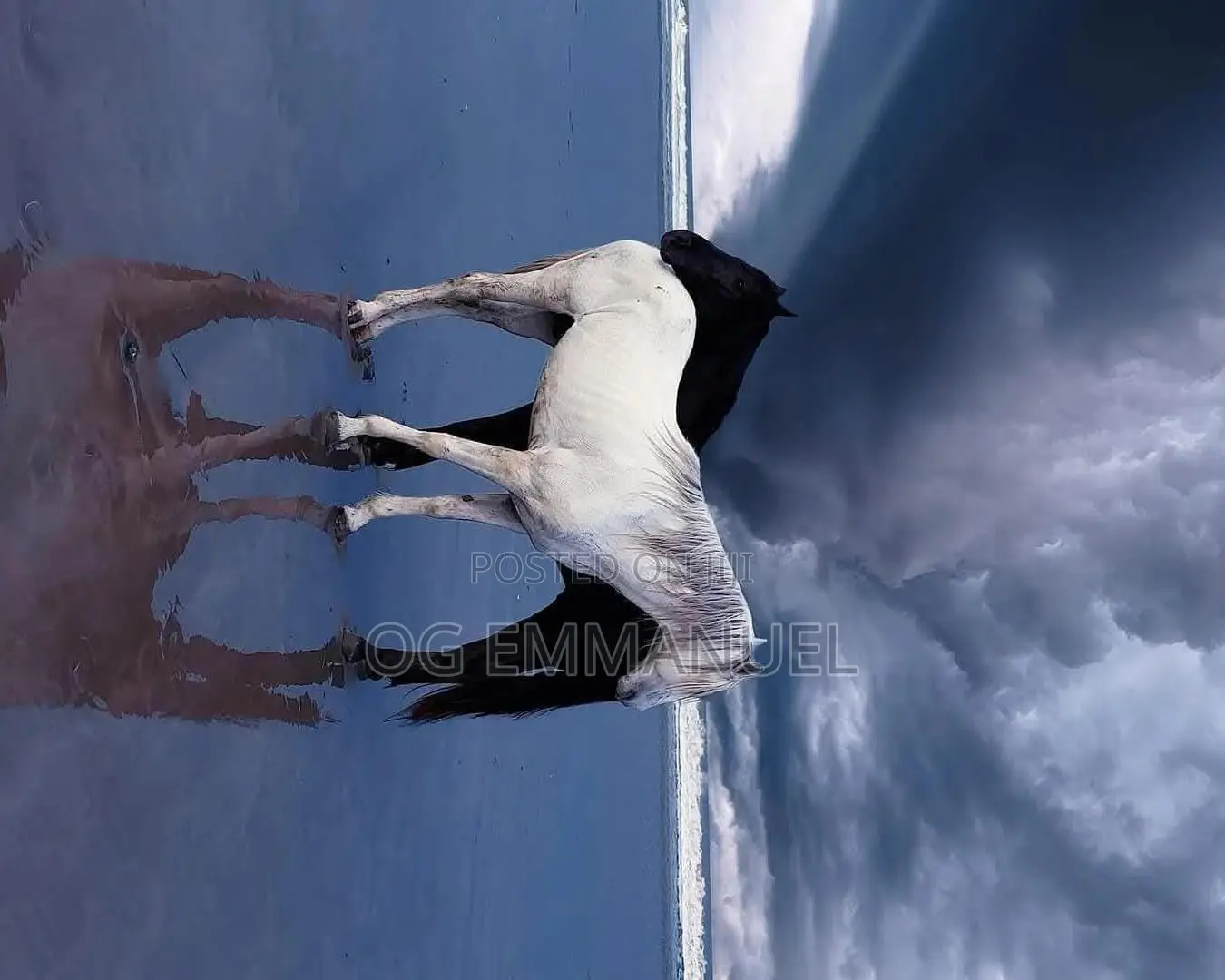Cinematography