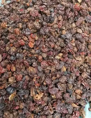 Cameroon Pepper