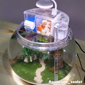Fish Bowl With Aquascape