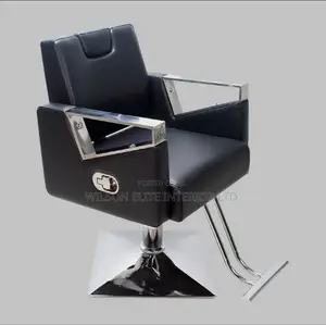 Salon Chair