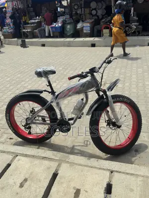 Luxury Unisex Fat Tyre Mountain Bicycle