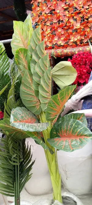 ‎Artificial Flower and Pot Set ( Fine Quality)