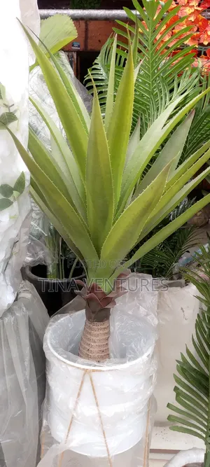 ‎Artificial Flower and Pot Set ( Fine Quality)