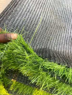 Best Artificial Grass With Installation