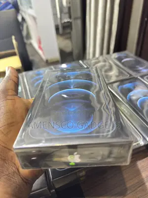 New Apple iPhone 12 Pro Max 256 GB