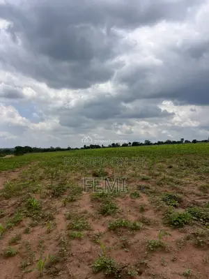 7 Acres of Land