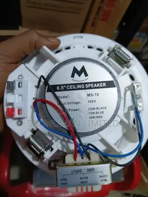 15watts Ceiling Speaker