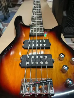 Wellsound Active Five String Electric Guitar 