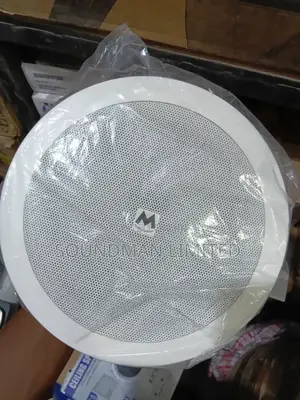 Ceiling Speaker 30watts