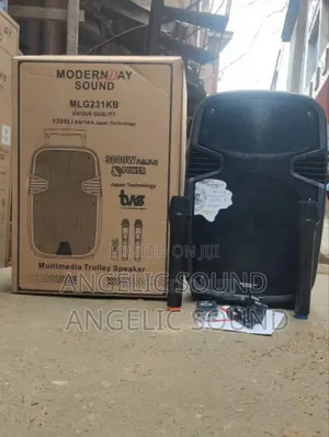 Modern Day 12 Inches Speaker Model MLG 238kb