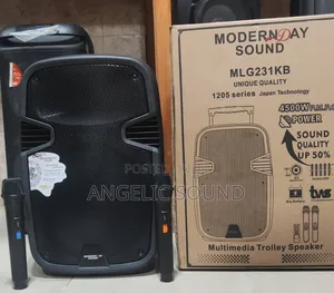 Modern Day Sound Model 238